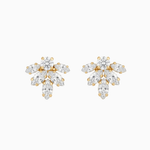 Pair of gold and crystal earrings on a white background