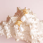A pair of gold-plated scallop earrings with freshwater pearls displayed on a seashell by Sarah Gauci