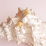 A pair of gold-plated scallop earrings with freshwater pearls displayed on a seashell by Sarah Gauci