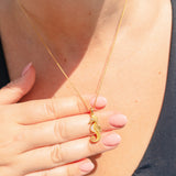 Sea Treasures - The Kuda Seahorse
