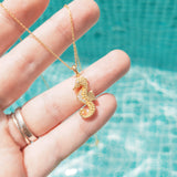 Sea Treasures - The Kuda Seahorse